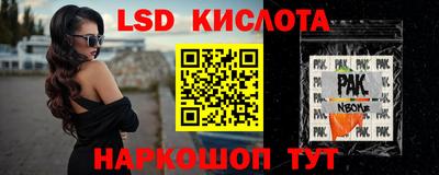 твердый Сланцы