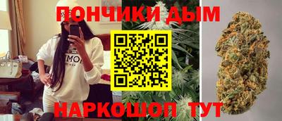 твердый Сланцы