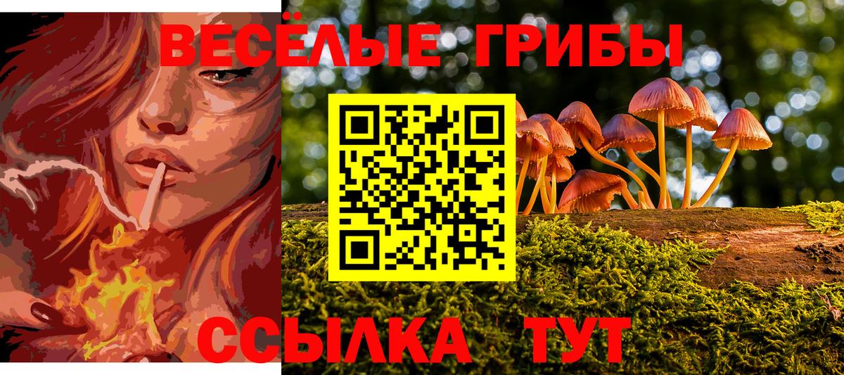 Галлюциногенные грибы прущие грибы  Вход с VPN  Псков 